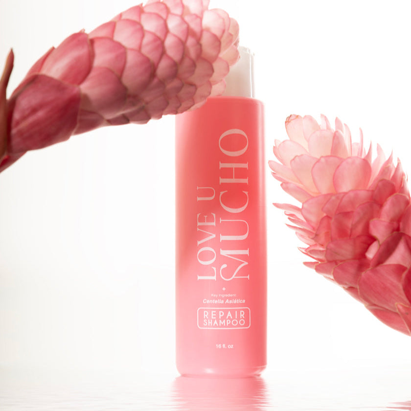 Repair Shampoo